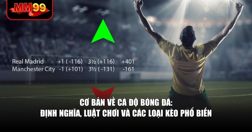 Cá Độ Bóng Đá – Chơi Thông Minh, Chơi Có Chiến Lược 1 Cơ bản về cá độ bóng đá