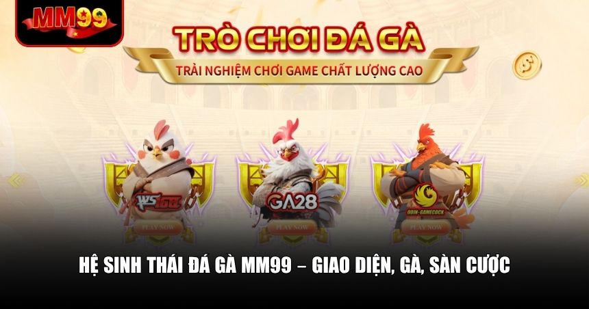 Cách MM99 thiết kế hệ thống đá gà và trải nghiệm người dùng