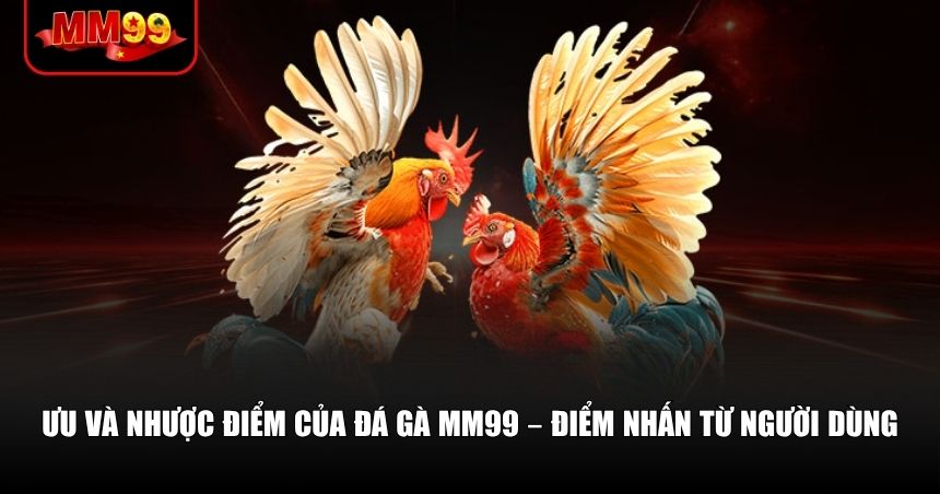 Đánh giá trực quan từ chính trải nghiệm thực tế tại đá gà MM99